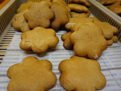 Lebkuchen Ferien Erlebnis