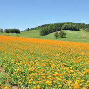 Ausflugsziele Mühlviertel